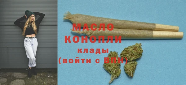 ECSTASY Горняк