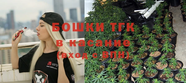 сатива Горно-Алтайск