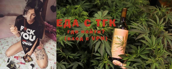 ECSTASY Горняк