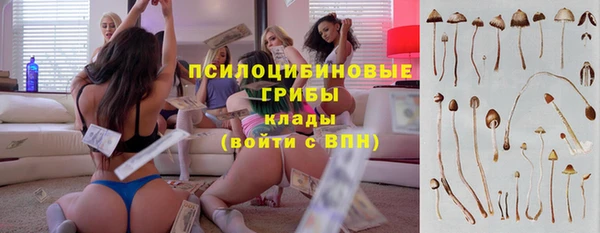 МДПВ Горнозаводск