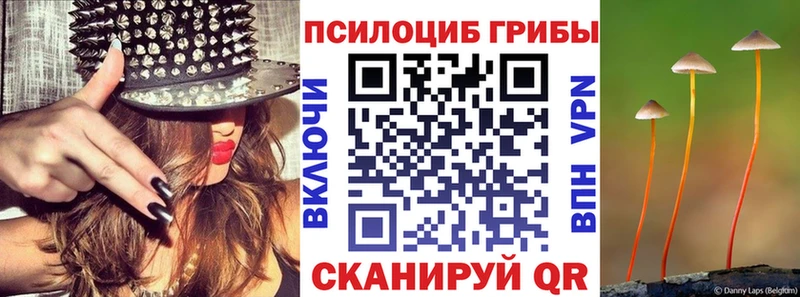 цена   Дальнереченск  Галлюциногенные грибы Cubensis 