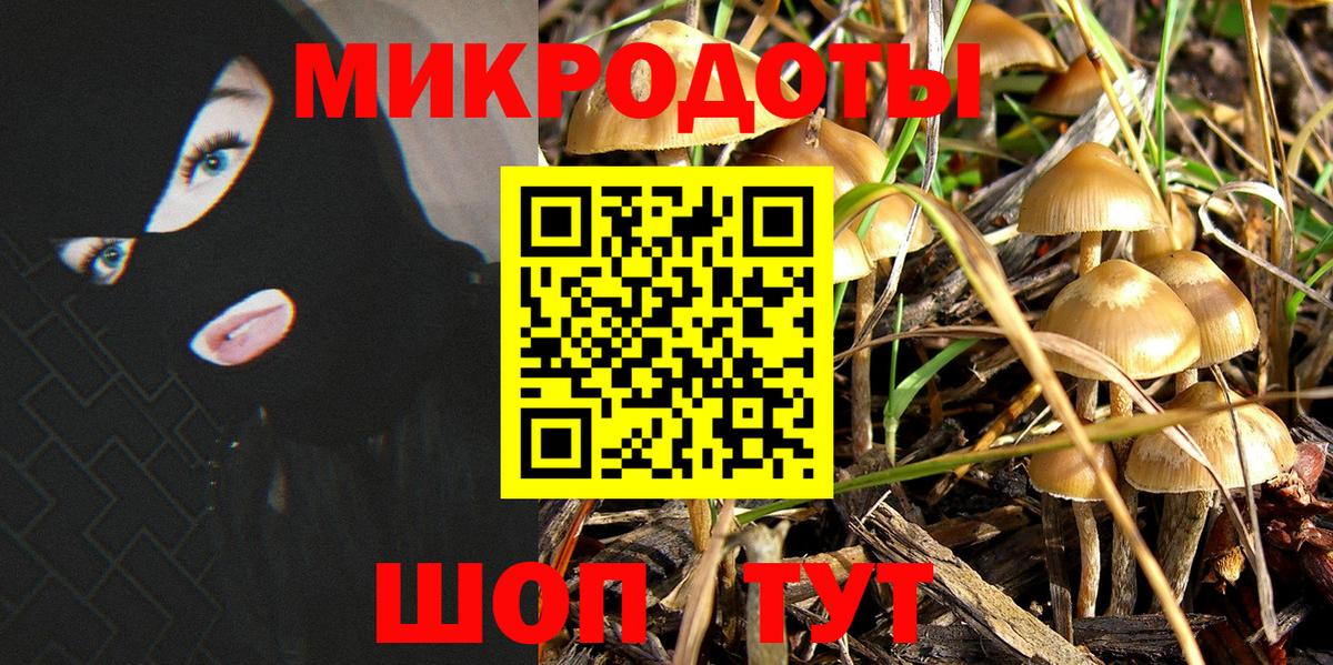 Дальнереченск  Галлюциногенные грибы Magic Shrooms  Галлюциногенные грибы мухоморы  Вход с VPN 