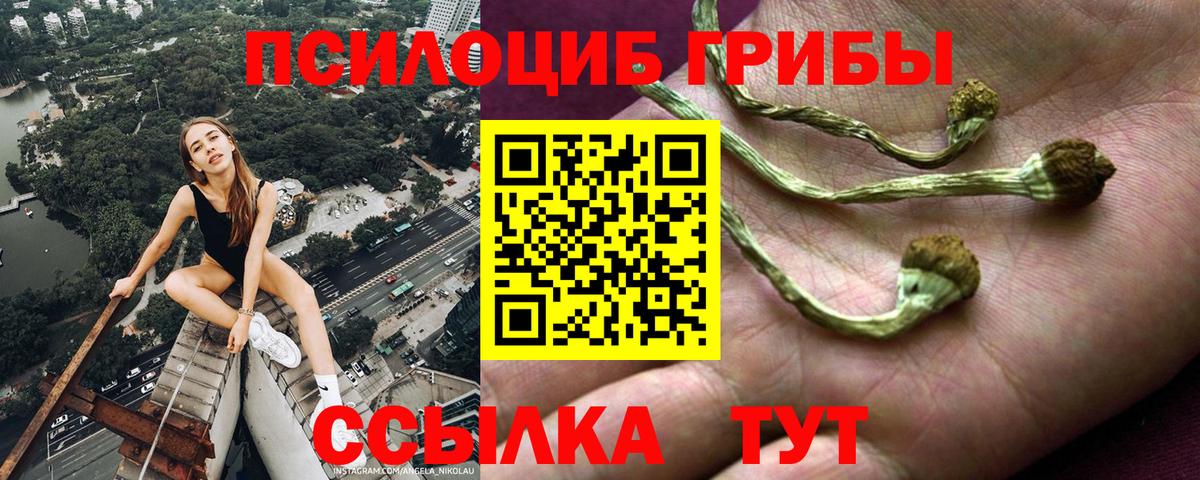 Галлюциногенные грибы GOLDEN TEACHER Дальнереченск